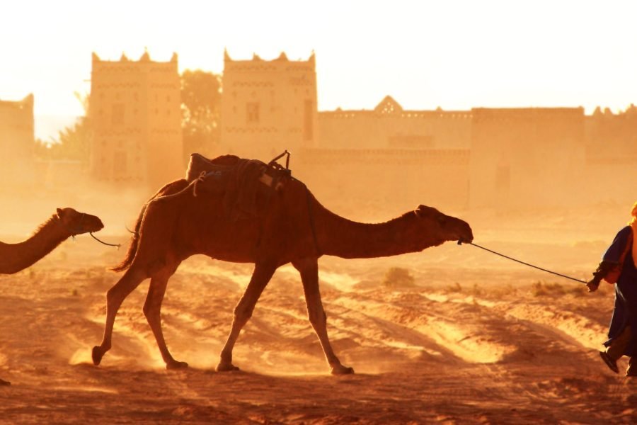 3 Days trip from Marrakech To Desert & private sahara trip